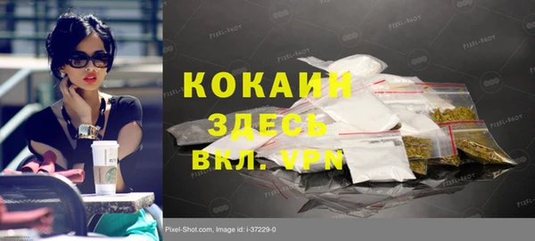 амф Алзамай