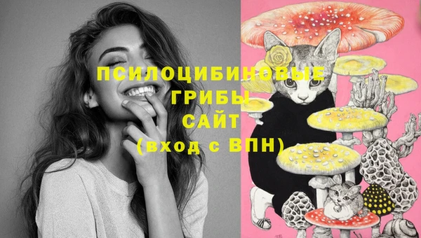 амф Алзамай