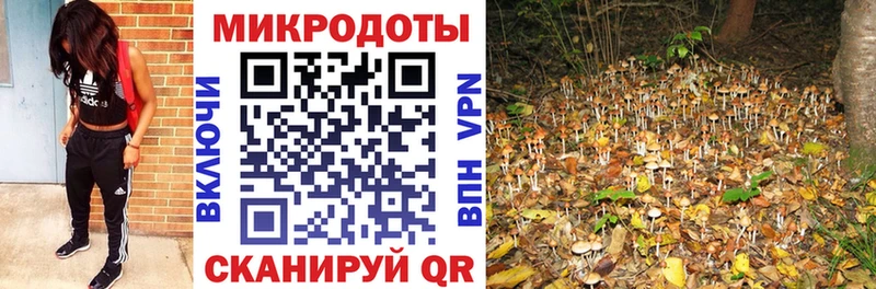 Псилоцибиновые грибы MAGIC MUSHROOMS mega зеркало Кирсанов