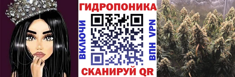 закладка  Кирсанов  Каннабис ГИДРОПОН 